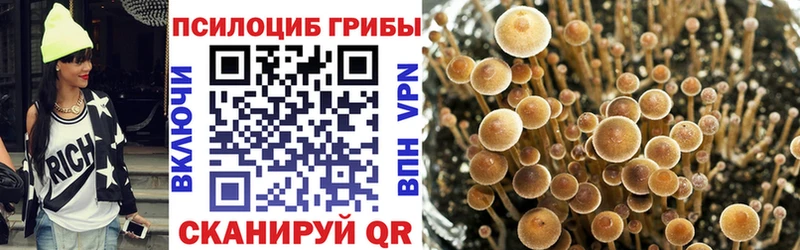 Галлюциногенные грибы мицелий  купить наркотик  Данилов 