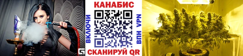 купить  сайты  Данилов  Бошки марихуана Bruce Banner 
